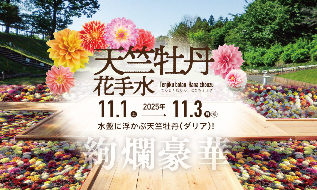 東松山ぼたん園（天竺牡丹）