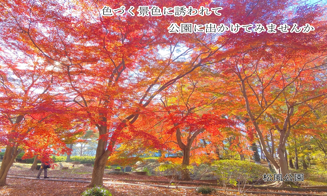 紅葉スポット紹介