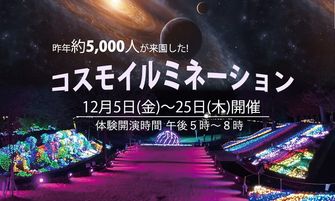 コスモイルミネーション