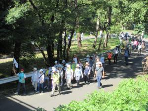 気持ちの良い木陰