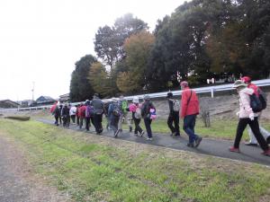 市野川堤を歩く１