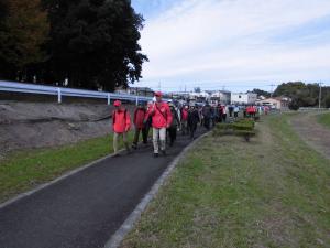 市野川堤を歩く３