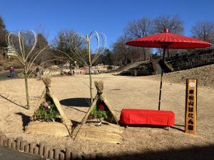 新春ぼたん展装飾