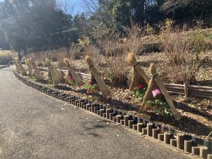 抑制ぼたんわらぼっち