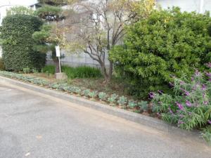 唐子市民活動センター