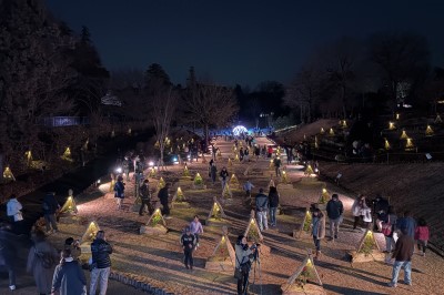 東松山ぼたん園　ぼたん展の画像です。