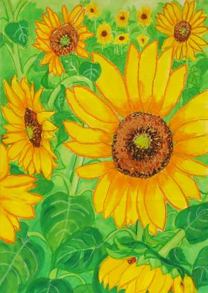 柴崎愛莉さん丘の上のひまわり