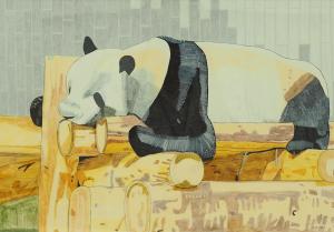 パンダ　長谷部航輝さん