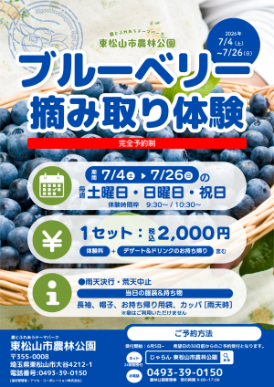 【東松山市農林公園】ブルーベリー摘み取り体験チラシ