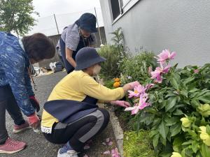 中庭・西駐3
