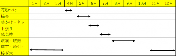 年間作業表(HP梨づくりの1年)