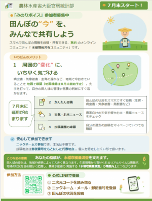 みのりボイス