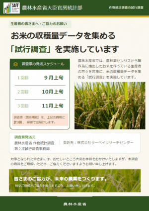 試行調査