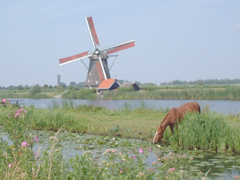 オランダ風車の写真