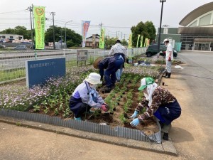 恵方巻き作りその2