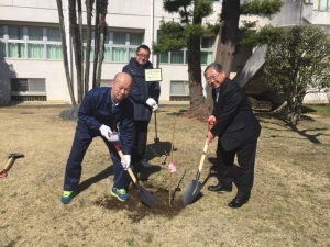 桜の植樹（松女）