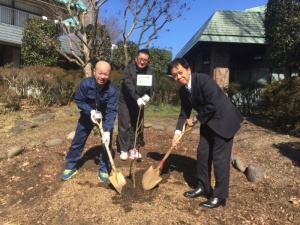 桜の植樹（社協）