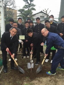 桜の植樹（松高縦）