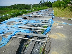 宮城県東松島市の写真13