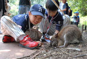 東松島市と東松山市の少年野球チーム交流試合の写真4