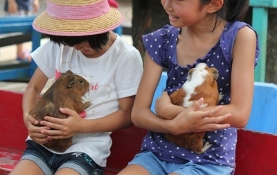 動物とのふれあい