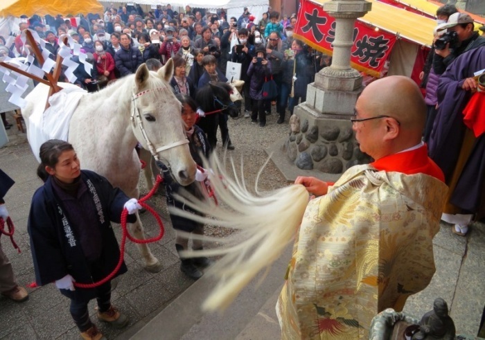 絵馬市の様子。白い馬が写っている