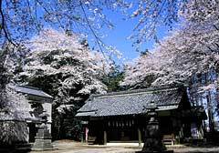 唐子神社の写真