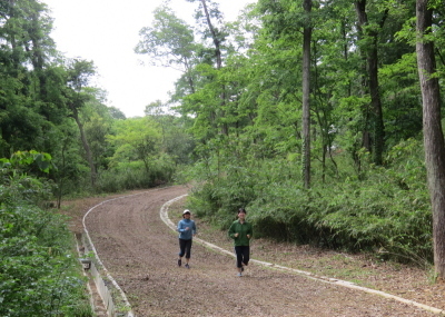 コースを走る女性二人の写真