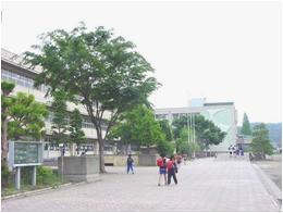 新宿小学校の画像