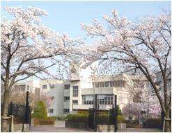 桜山小学校の画像