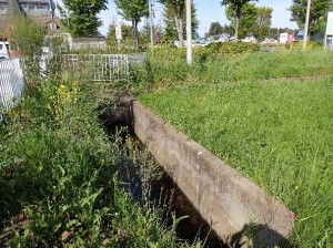 新江川起点