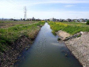 新江川改修区間