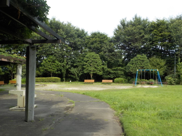 あんず公園の全景