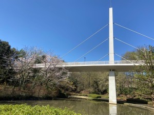 千年谷公園から見た山の辺橋