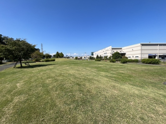 折本山公園の芝生広場