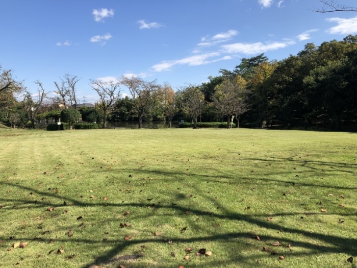 松風公園の芝生広場