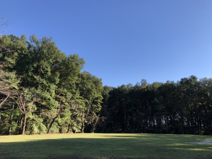 岩鼻運動公園の芝生広場