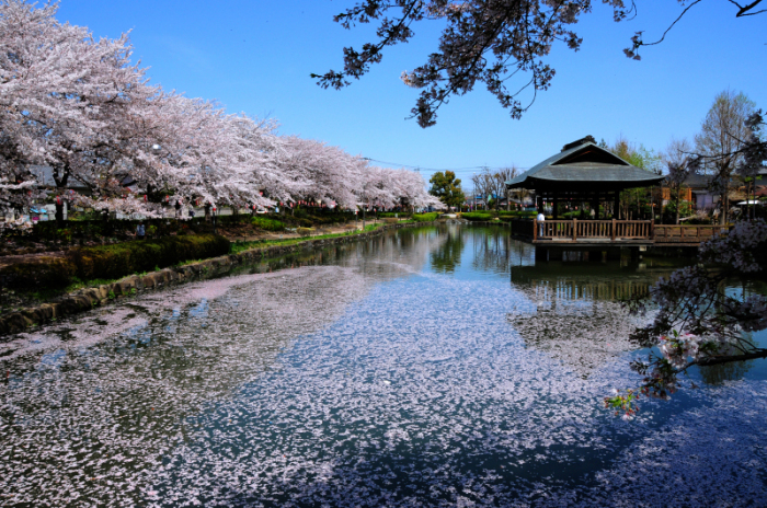 上沼公園正面