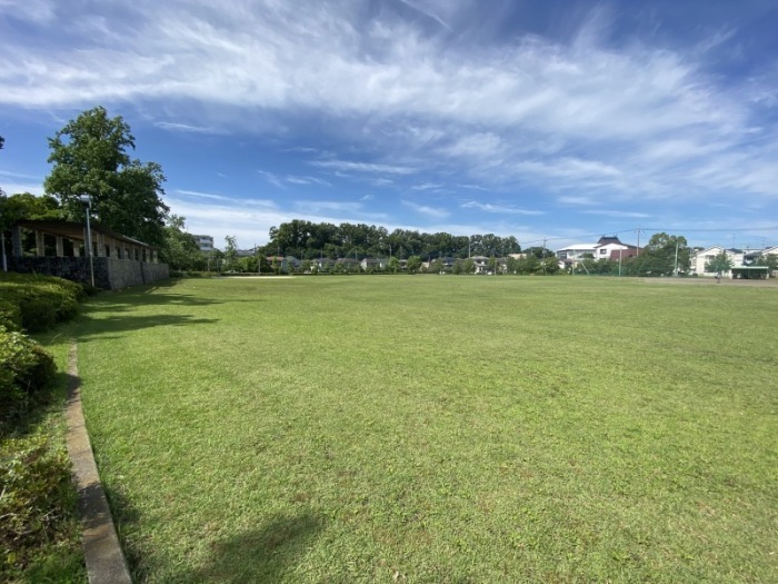 五領町近隣公園の芝生広場