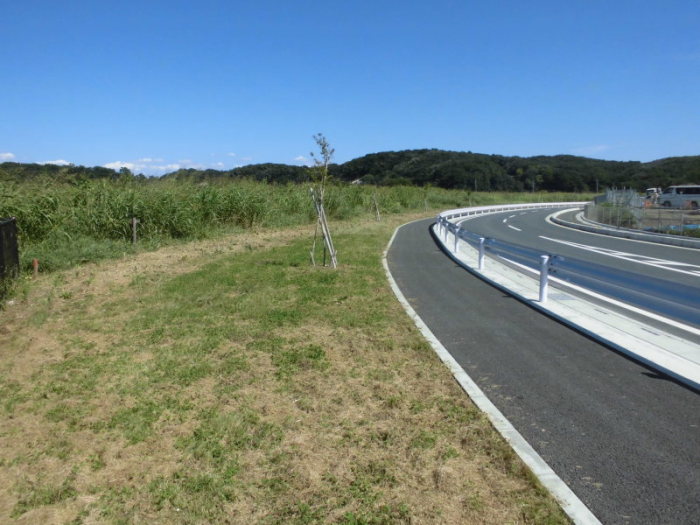 仲田町緑地正面