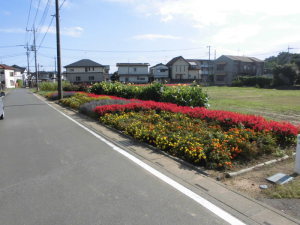 後本宿子供広場の花いっぱい運動