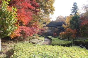 物見山公園の紅葉