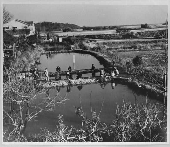 1954年の東部区画整理事業前の水田の写真