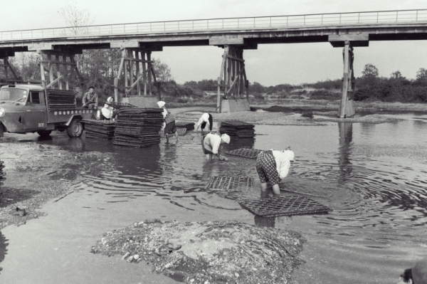 1963年の都幾川でまぶしを洗うの写真