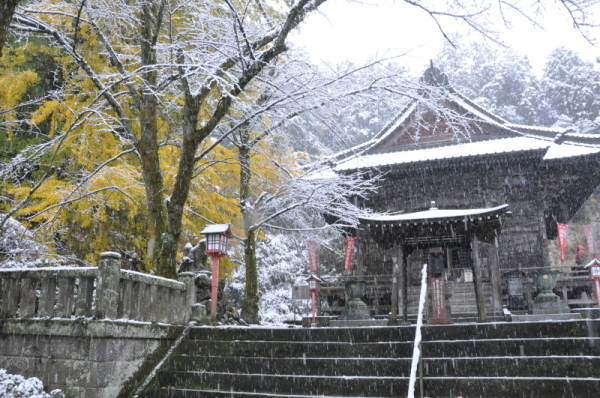 2016年の岩殿観音正法寺の雪景色