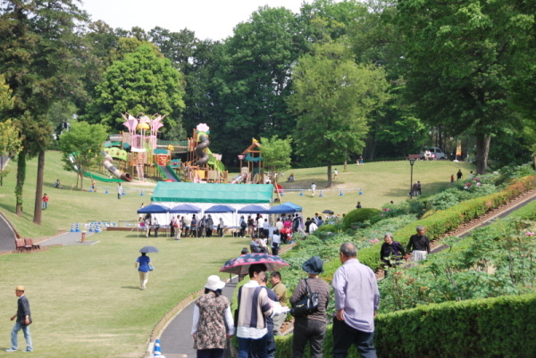 2018年の東松山ぼたん園の様子