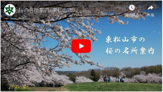 市内各地の桜の様子を撮影した動画へのリンク画像