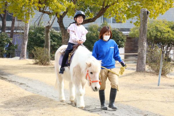 乗馬をしている様子の写真