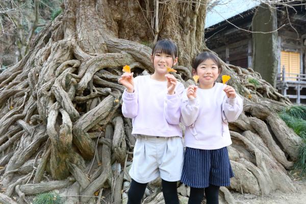 イチョウの葉を持つ二人の女の子の写真