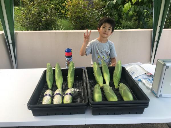 白いトウモロコシと男の子の写真